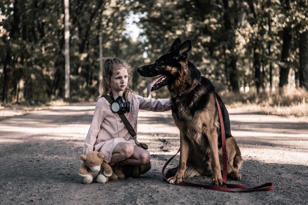 niño molesto con osito de peluche tocando perro pastor alemán en la carretera, concepto post apocalíptico
 - Foto, Imagen