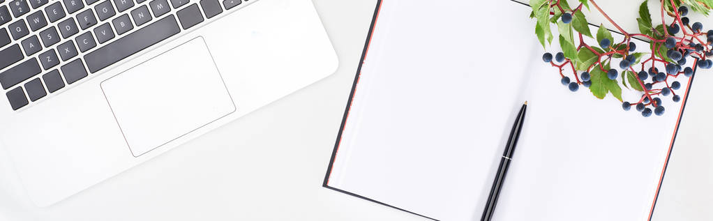 панорамный снимок пустой тетради с ручкой рядом с ноутбуком и веточкой дикого винограда с зелеными листьями и ягодами, выделенными на белом
 - Фото, изображение