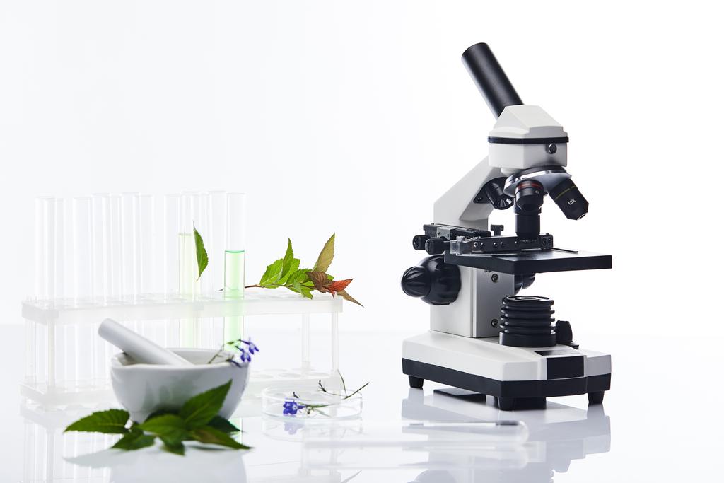 glazen reageerbuizen, mortel met stamper in de buurt van planten en microscoop geïsoleerd op wit - Foto, afbeelding