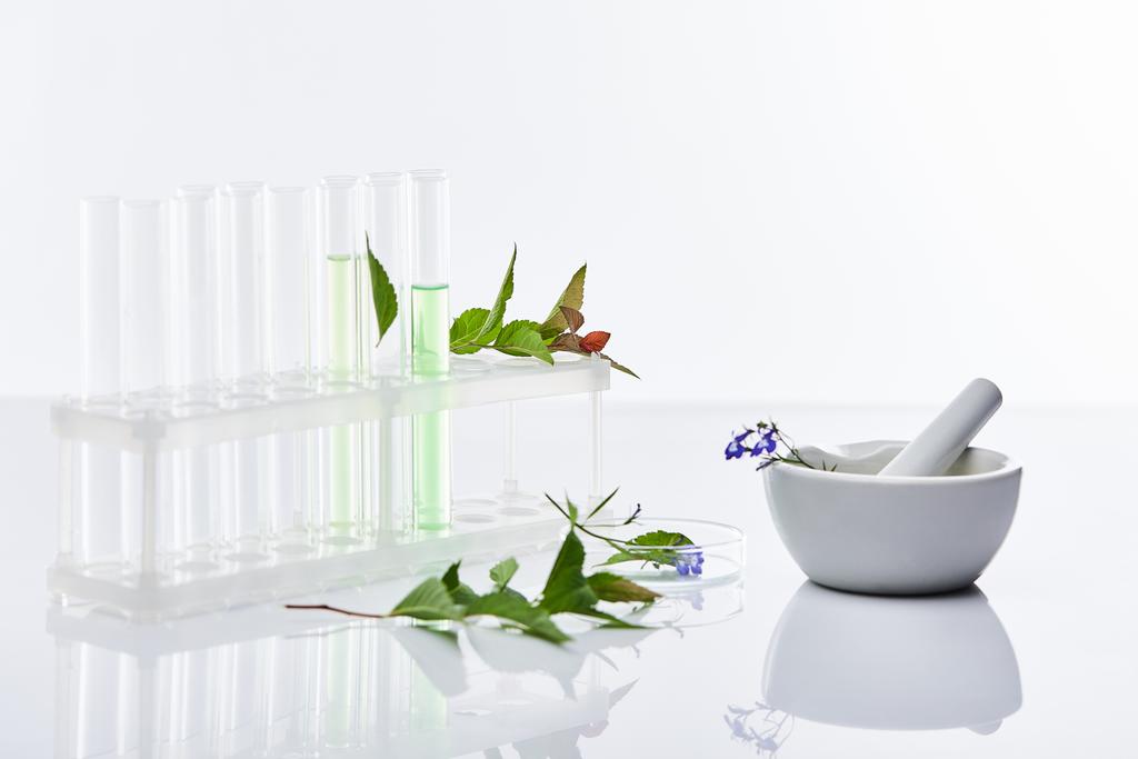 γυάλινοι δοκιμαστικοί σωλήνες, κονίαμα με γουδοχέρι κοντά σε φυτά που απομονώνονται σε λευκό - Φωτογραφία, εικόνα