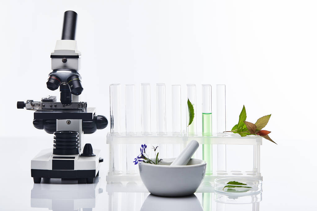 γυάλινοι δοκιμαστικοί σωλήνες, κονίαμα με γουδοχέρι κοντά σε φυτά και μικροσκόπιο που απομονώνονται σε λευκό - Φωτογραφία, εικόνα