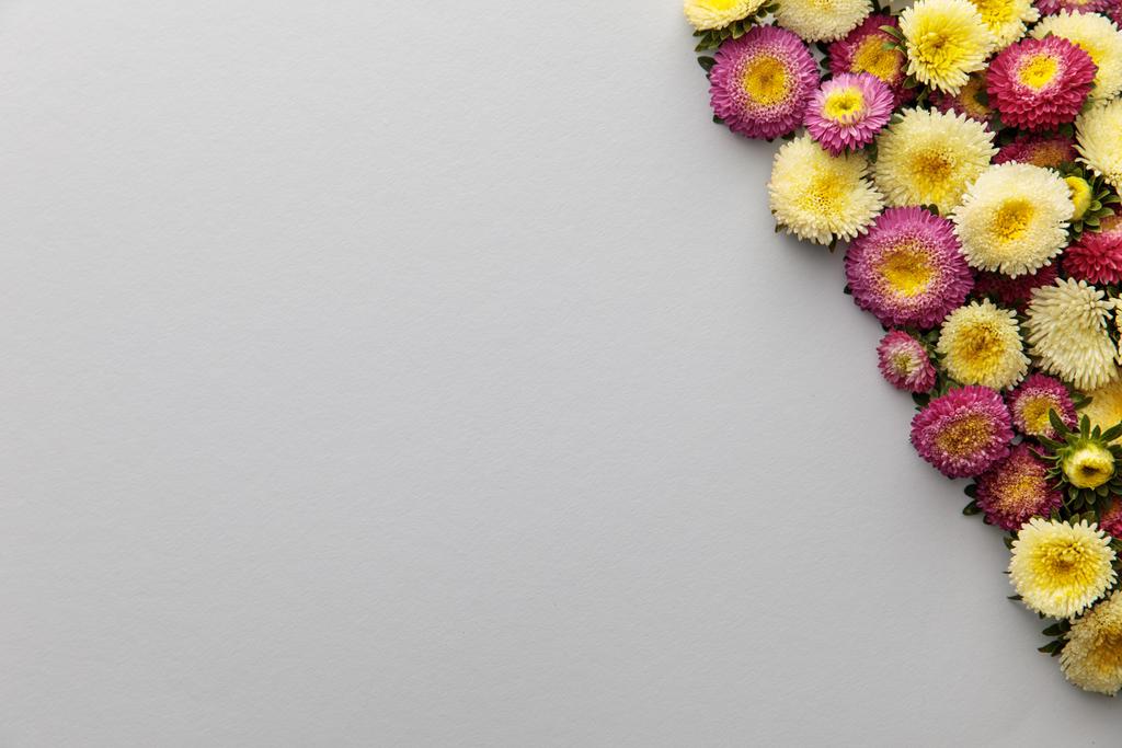 vue de dessus des asters jaunes et violets sur fond blanc avec espace de copie
 - Photo, image