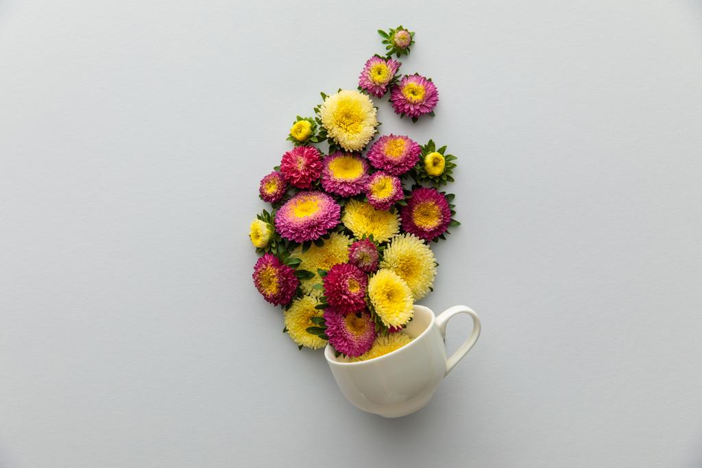 top view of asters in cup on white background - Photo, Image