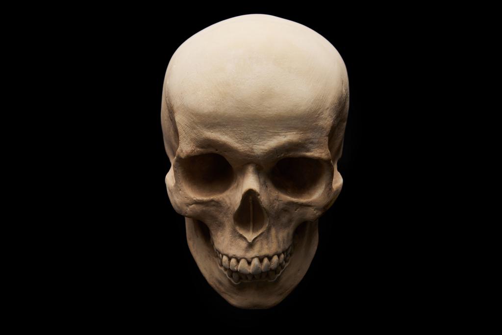 黒、ハロウィーンの装飾に隔離された不気味な人間の頭蓋骨 - 写真・画像
