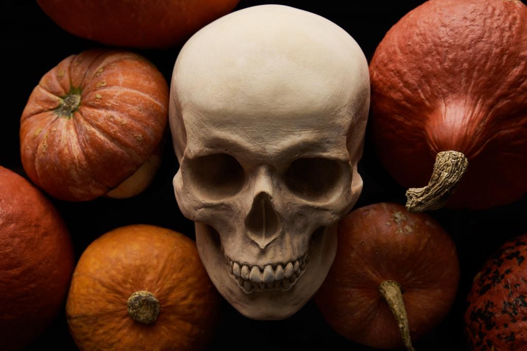 calabazas y cráneo sobre fondo negro, decoración de Halloween
 - Foto, Imagen