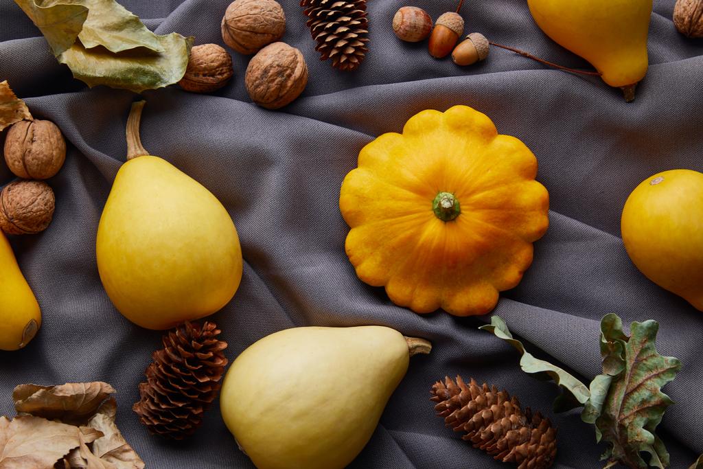 ripe whole colorful pumpkins, nuts and cones on grey cloth - Photo, Image