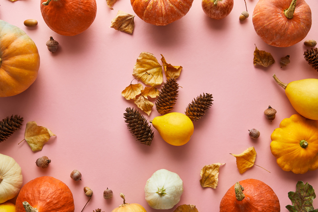 完熟した全体のカラフルなカボチャとピンクの背景の秋の装飾 - 写真・画像