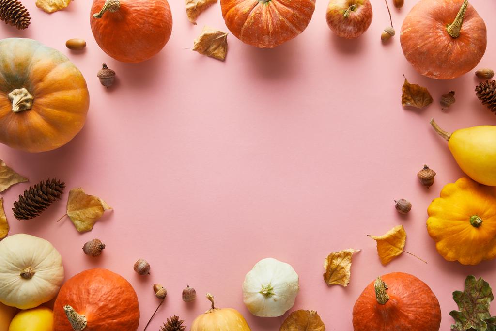 コピースペースとピンクの背景に熟した全体のカラフルなカボチャと秋の装飾 - 写真・画像