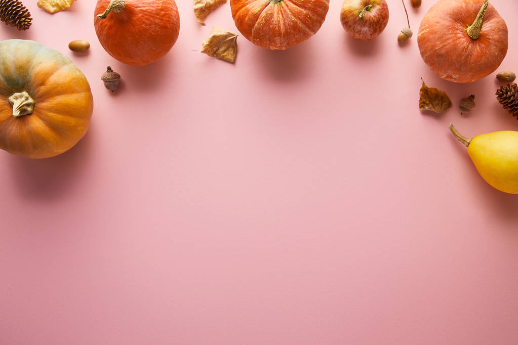 rijpe hele kleurrijke pompoenen en herfstdecor op roze achtergrond met kopieerruimte - Foto, afbeelding