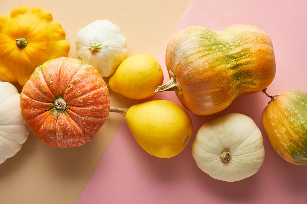 top view of ripe whole colorful pumpkins on pink and beige background - Photo, Image