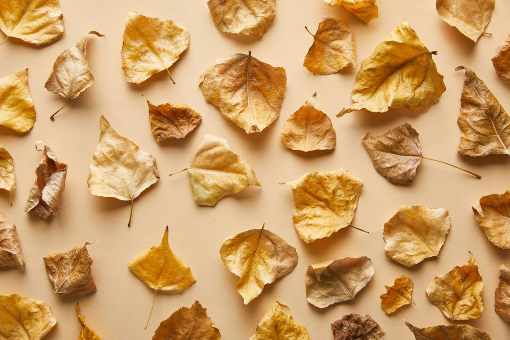 top view of dry golden foliage on beige background - Photo, Image
