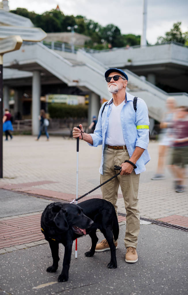 Senior ciego con perro guía de pie al aire libre en la ciudad
. - Foto, Imagen