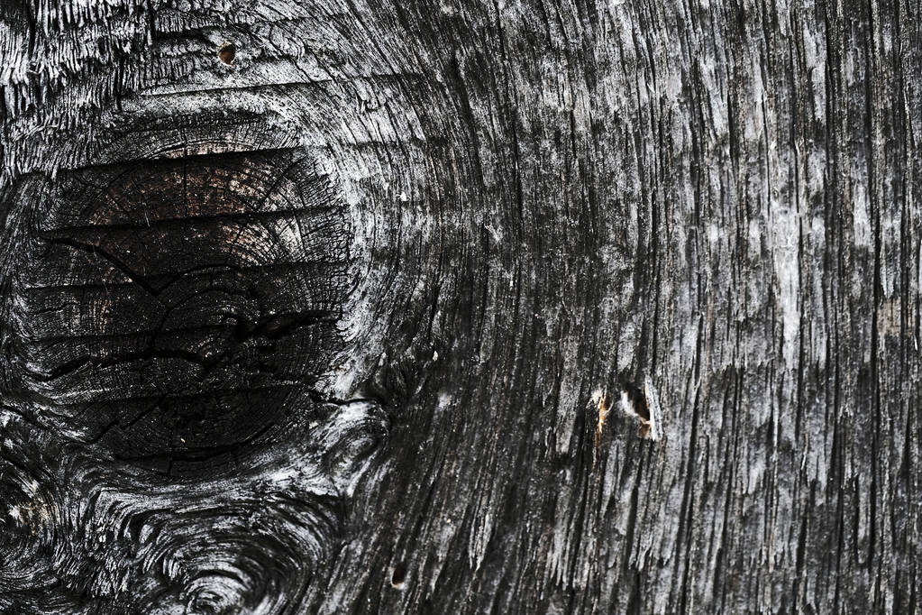 вузли на старій дерев'яній поверхні. текстура дерева. фон
. - Фото, зображення