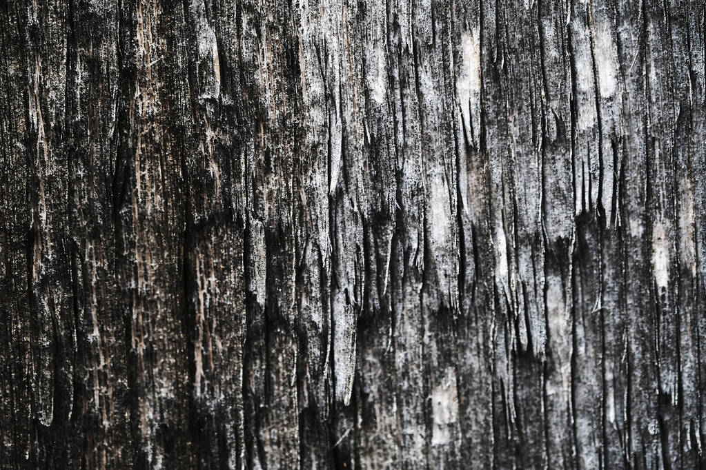 старая деревянная поверхность. текстура дерева. фон
. - Фото, изображение