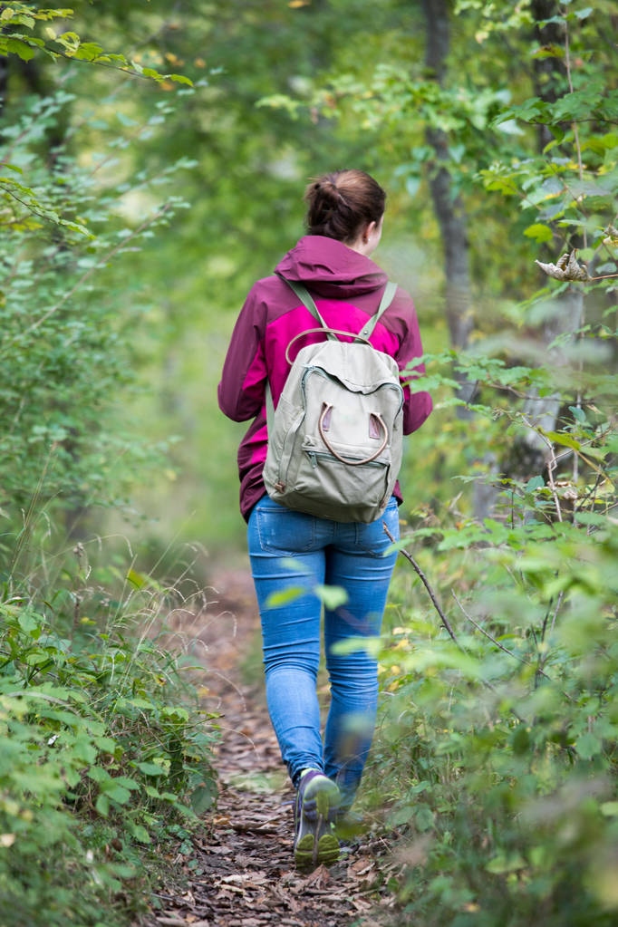 女性のバックパックの秋の森の中を歩く。葉が落ちています.   - 写真・画像
