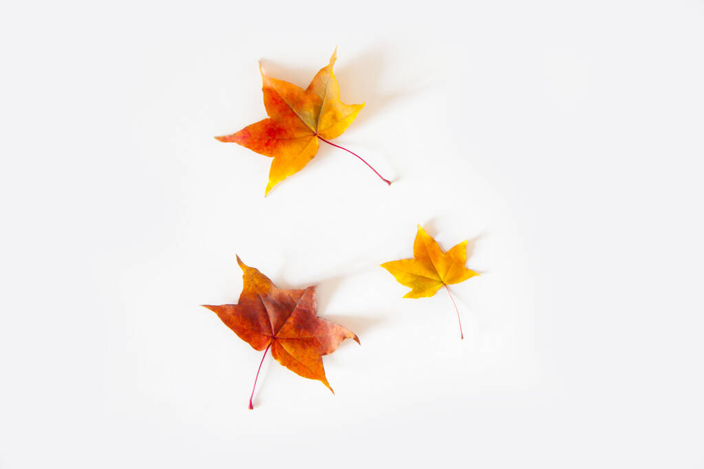 Fond d'automne avec des feuilles d'érable rouges, jaunes, orange
 - Photo, image