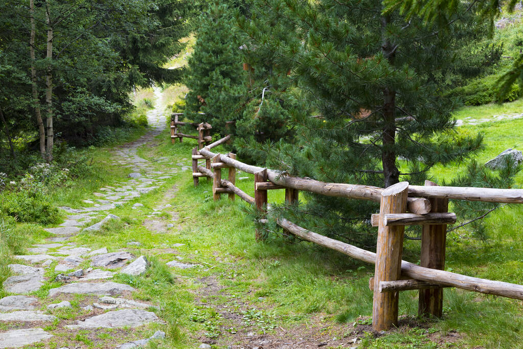 Пішохідна стежка в гірському лісі
.  - Фото, зображення