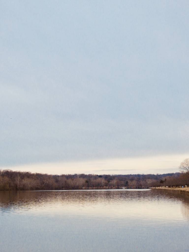 Tiro vertical de um belo lago cercado por árvores secas sob o céu azul
 - Foto, Imagem