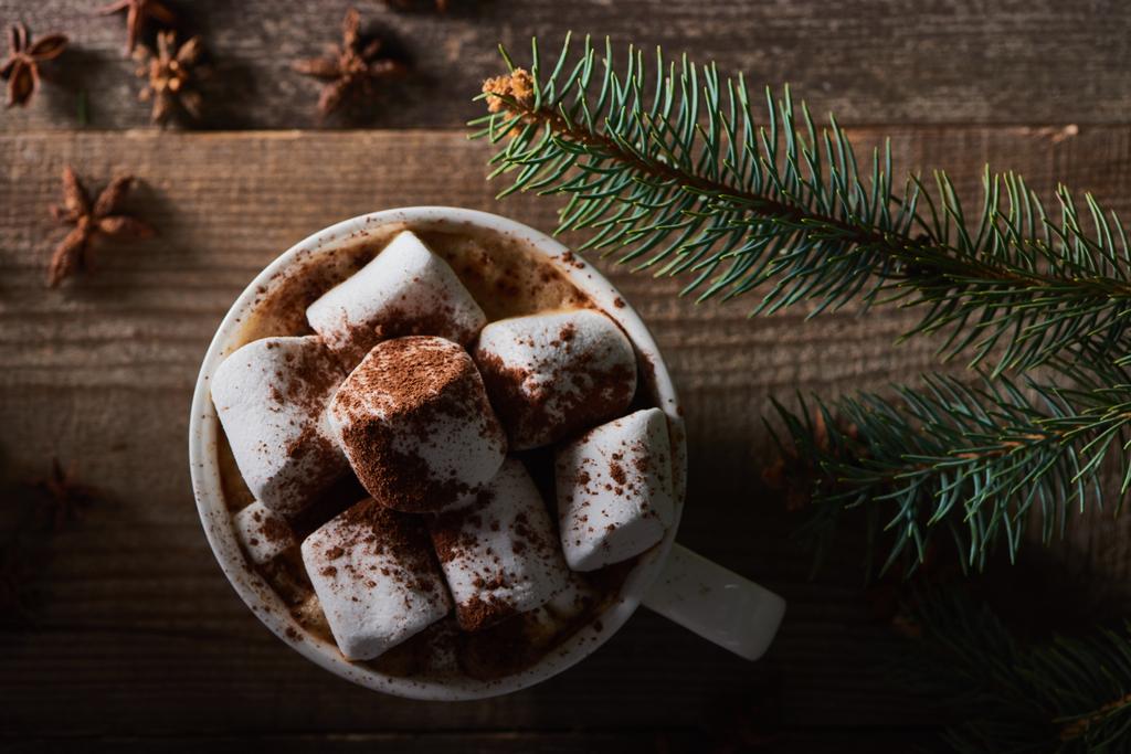 vista dall'alto del cacao natalizio con marshmallow sul tavolo di legno con ramo di pino
 - Foto, immagini
