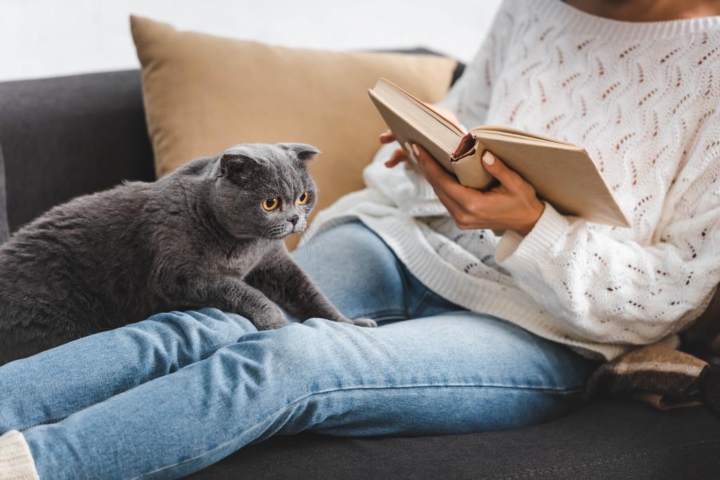 przycięty widok kobiety czytanie książki ze szkockim krotnie kot na kanapie - Zdjęcie, obraz
