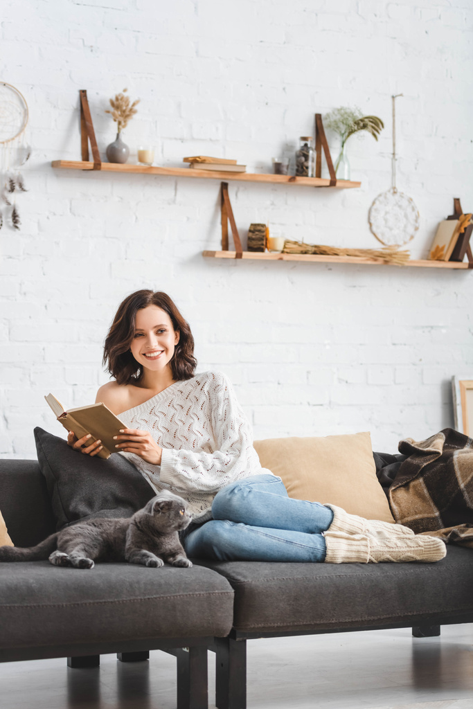 beautiful woman reading book with scottish fold cat on sofa - 写真・画像