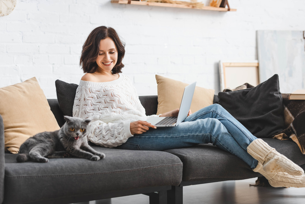 belle femme heureuse en utilisant un ordinateur portable avec chat pliant écossais sur le canapé
 - Photo, image