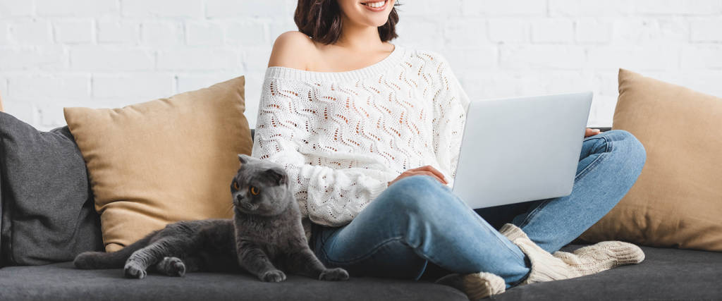 corte vista de mulher sorridente usando laptop com escocês dobra gato no sofá
 - Foto, Imagem