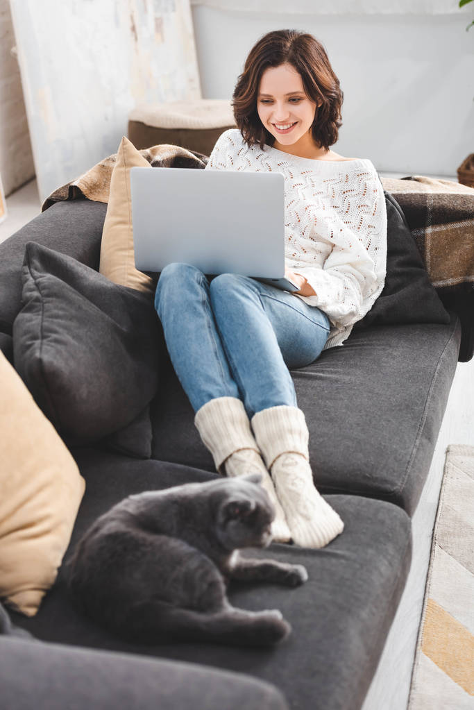 mulher feliz usando laptop com gato no sofá
 - Foto, Imagem
