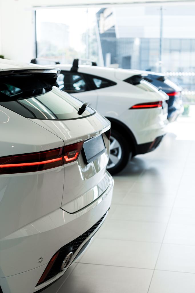 selective focus of white cars in car showroom  - Photo, Image