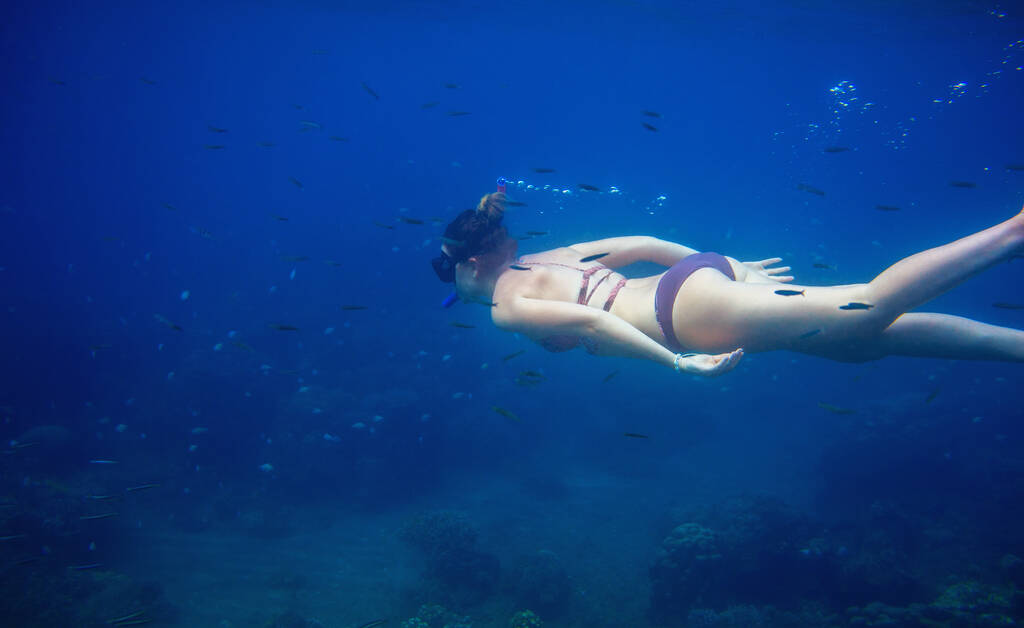 Жінка плаває у блакитній воді. Жіночий снорк під водою фото. Freediver у блакитній морській воді тропічної лагуни
. - Фото, зображення