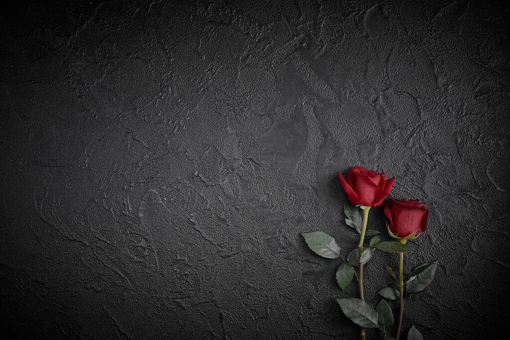 Kırmızı güller siyah dokulu bir arka plan üzerine yerleştirilir. Taziye, sempati kaybı. Metniniz için alan - Fotoğraf, Görsel