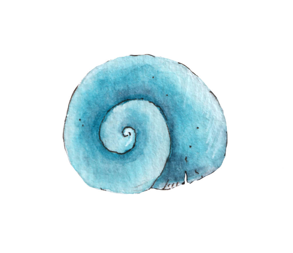 Round blue seashell painted in watercolor on white background - Photo, Image