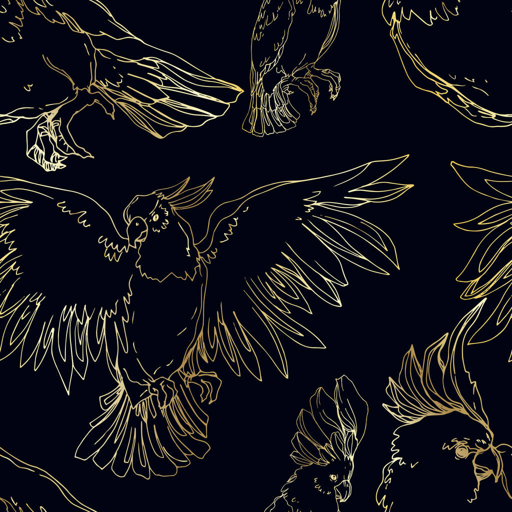 Vector Sky ptak kakadu w dzikiej przyrody odizolowany. Czarno-biała grawerowana sztuka tuszu. Płynny wzór tła. - Wektor, obraz