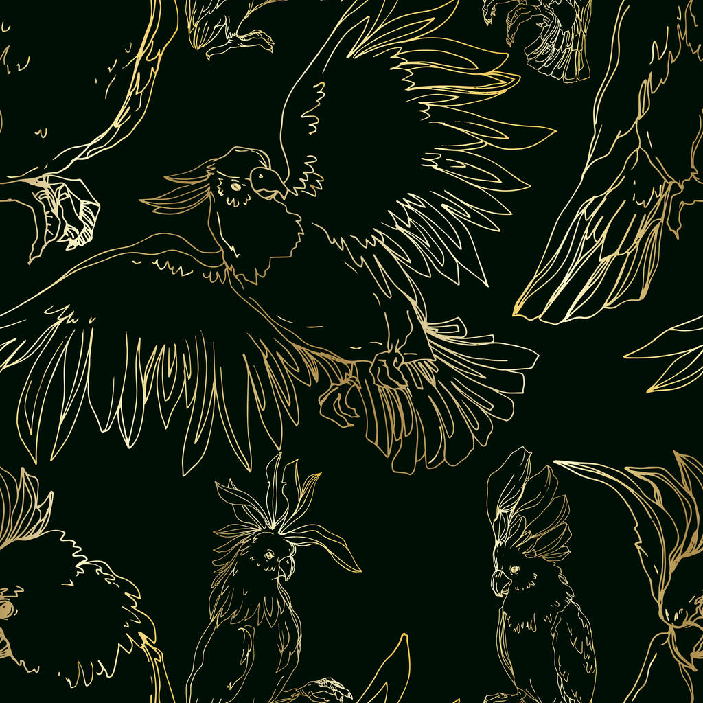 Vector Sky ptak kakadu w dzikiej przyrody odizolowany. Czarno-biała grawerowana sztuka tuszu. Płynny wzór tła. - Wektor, obraz