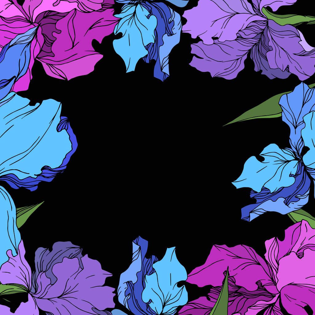 Vektori Iris kukka kasvitieteellinen kukkia. Musta ja valkoinen kaiverrettu muste taidetta. Kehyksen raja koriste neliö
. - Vektori, kuva