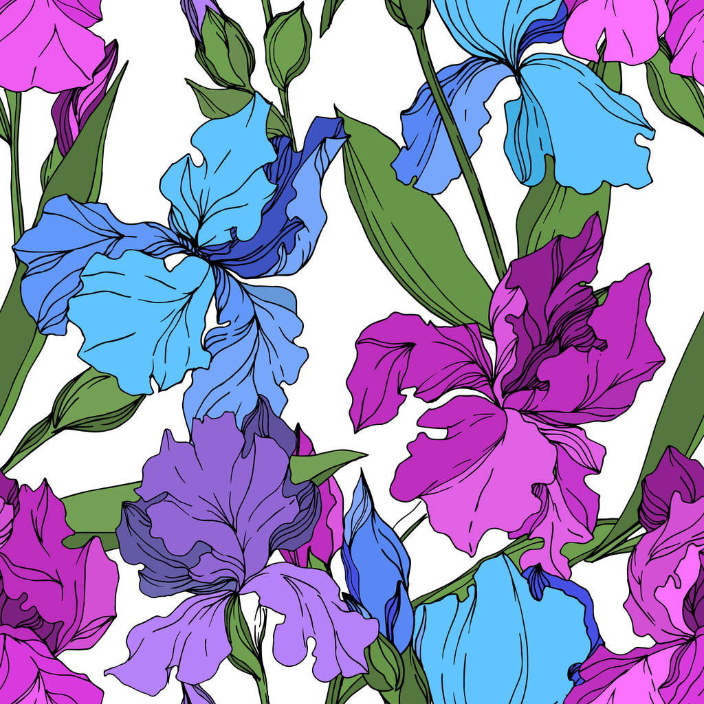 Vector Iris flores botánicas florales. Tinta grabada en blanco y negro. Patrón de fondo sin costuras
. - Vector, Imagen