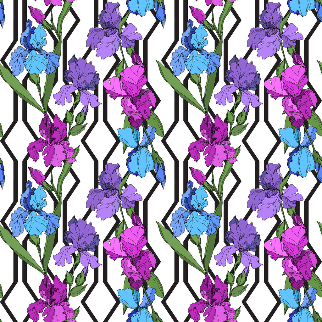 Vector Iris kwiatowe kwiaty botaniczne. Czarno-biała grawerowana sztuka atramentu. Płynny wzór tła. - Wektor, obraz