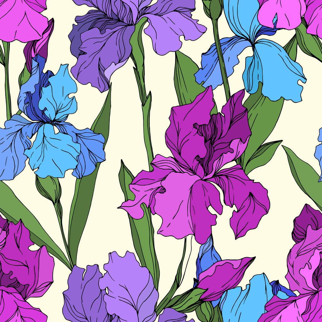 Vector Iris flores botânicas florais. Tinta gravada a preto e branco. Padrão de fundo sem costura
. - Vetor, Imagem
