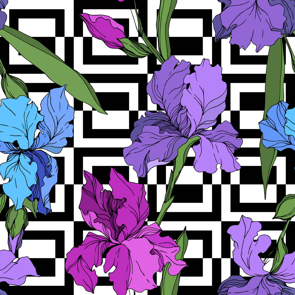 Fiori botanici floreali del vettore Iris. Inchiostro inciso in bianco e nero art. Modello di sfondo senza soluzione di continuità
. - Vettoriali, immagini