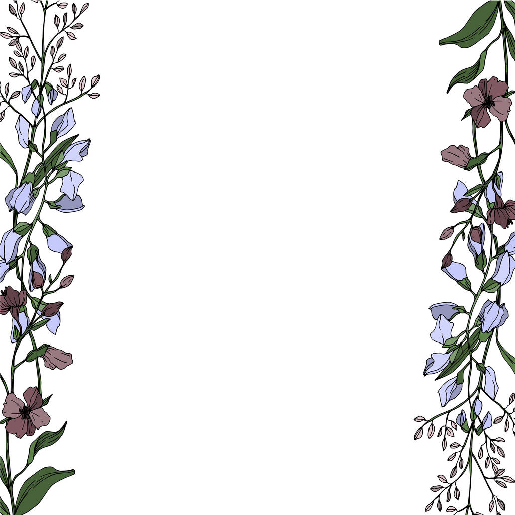 Vektorwildblume Blumen botanischen Blumen. Schwarz-weiß gestochene Tuschekunst. Rahmen Rand Ornament Quadrat. - Vektor, Bild