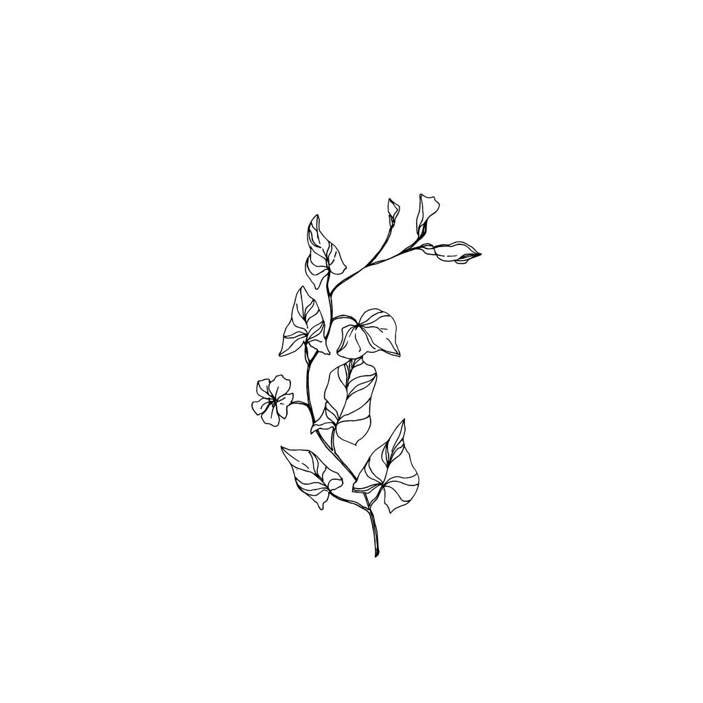 Vektör Yaban Çiçekleri çiçek botanik çiçekleri. Siyah beyaz işlemeli mürekkep sanatı. Ayrı bir çiçek çizimi ögesi. - Vektör, Görsel
