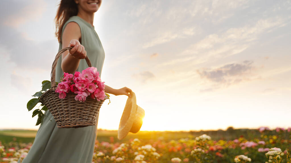 Žena s košíkem růží v nádherném kvetoucích polích, v šatně - Fotografie, Obrázek