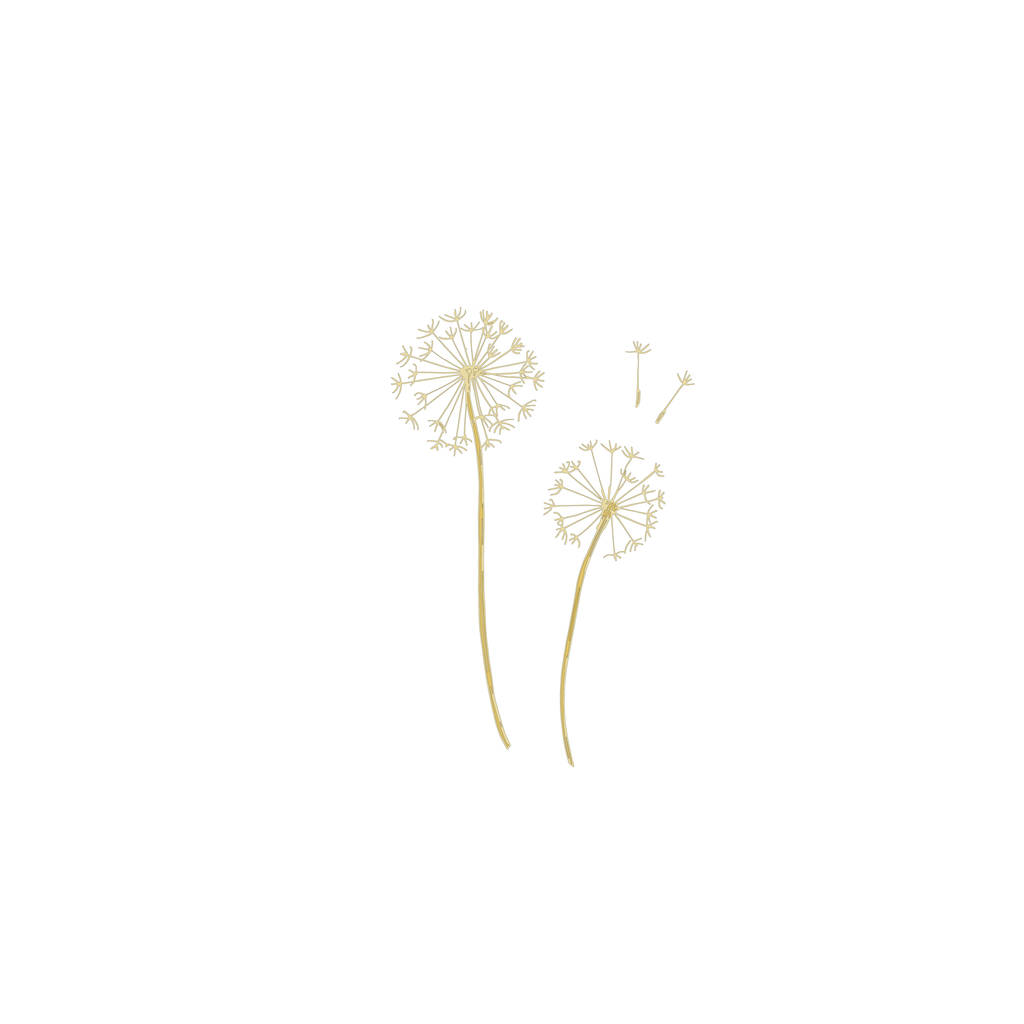 Vettore Fiori di campo fiori botanici floreali. Inchiostro inciso in bianco e nero art. Isolato elemento illustrazione fiore
. - Vettoriali, immagini