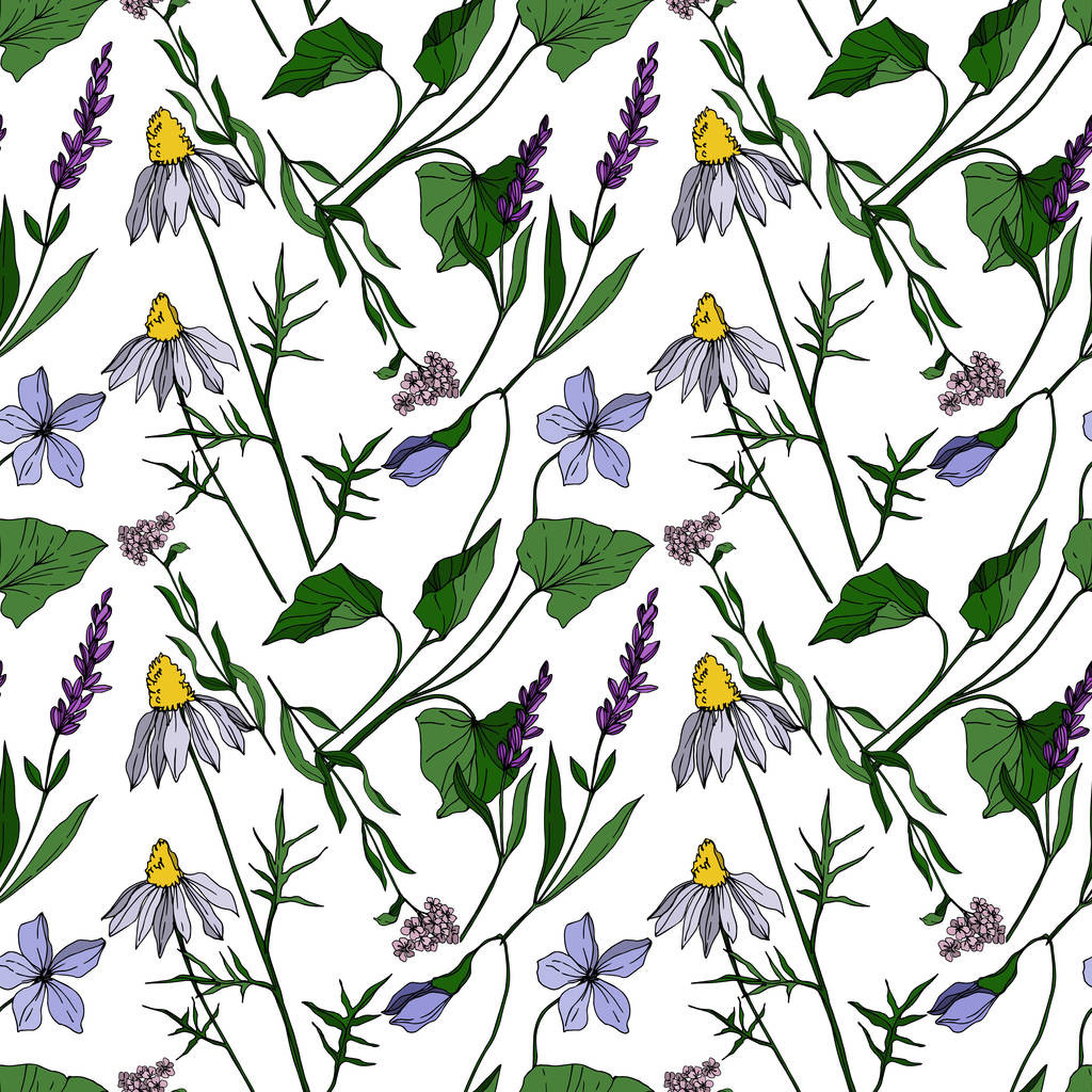Vector wildflower floral botanical flowers. Black and white engraved ink art. Seamless background pattern. - Vector, Image
