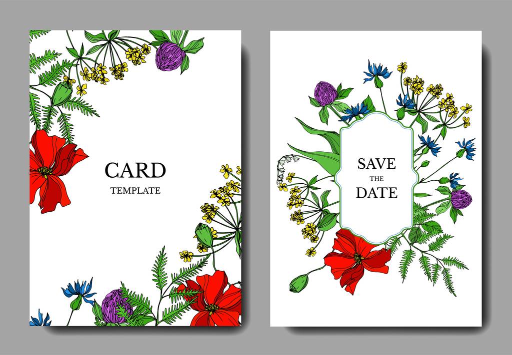 Vektor Wildflowers botanikai virágok. Fekete-fehér vésett tinta művészet. Esküvői háttér kártya dekoratív határ. - Vektor, kép
