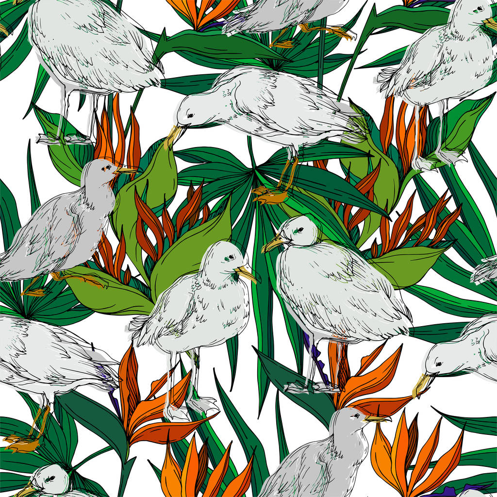 Vector Oiseau céleste mouette dans une faune isolée. Encre gravée en noir et blanc. Modèle de fond sans couture
. - Vecteur, image