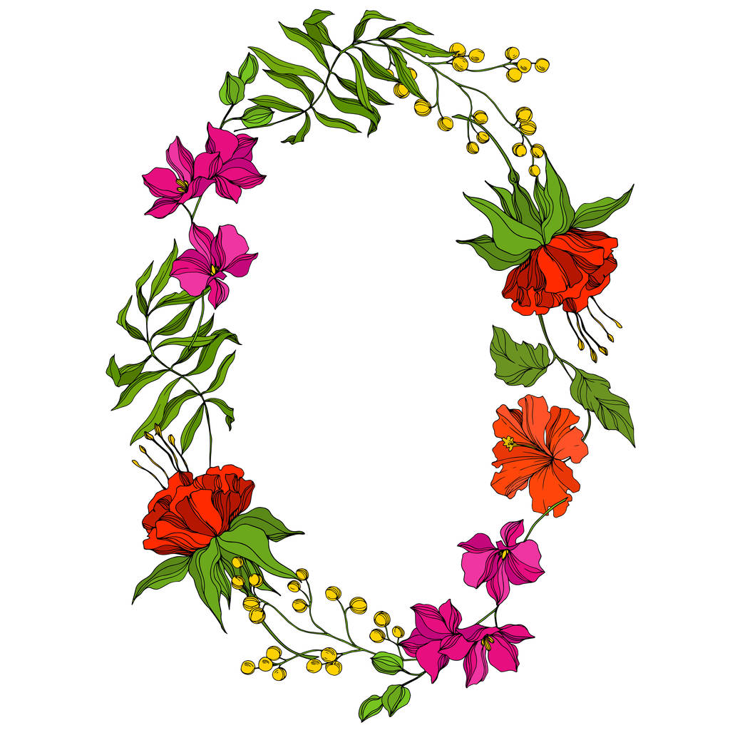 Vector Tropische botanische bloem. Exotische tropische hawaiiaanse zomer. Gegraveerde inkt kunst. Frame rand ornament vierkant. - Vector, afbeelding