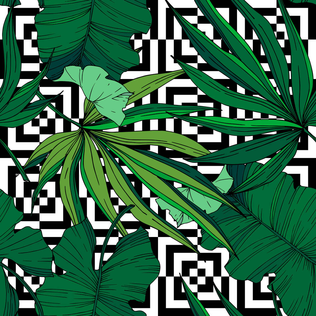 Vector Palm plage arbre feuilles jungle botanique. Encre gravée en noir et blanc. Modèle de fond sans couture
. - Vecteur, image