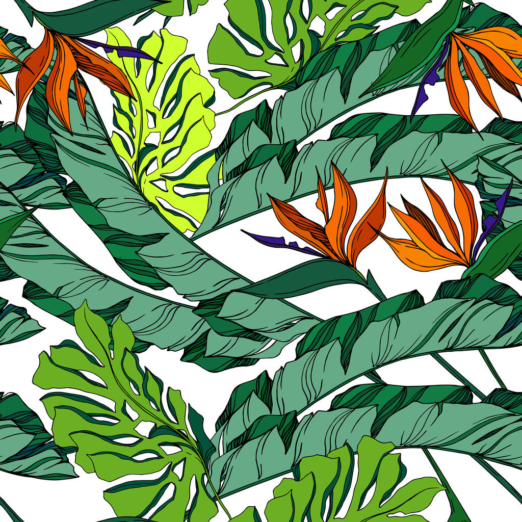 ベクトル熱帯植物の花 野生の春の葉の野生の花を隔離 黒と白の刻まインクアート シームレスな背景パターン ファブリック壁紙 Print ロイヤリティフリーのベクターグラフィック画像