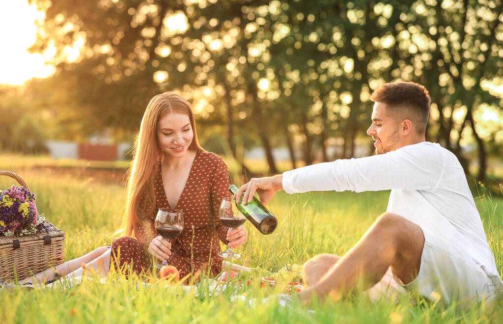 Genç adam ve kız arkadaşı Green Park 'ta piknik yapıyorlar. - Fotoğraf, Görsel